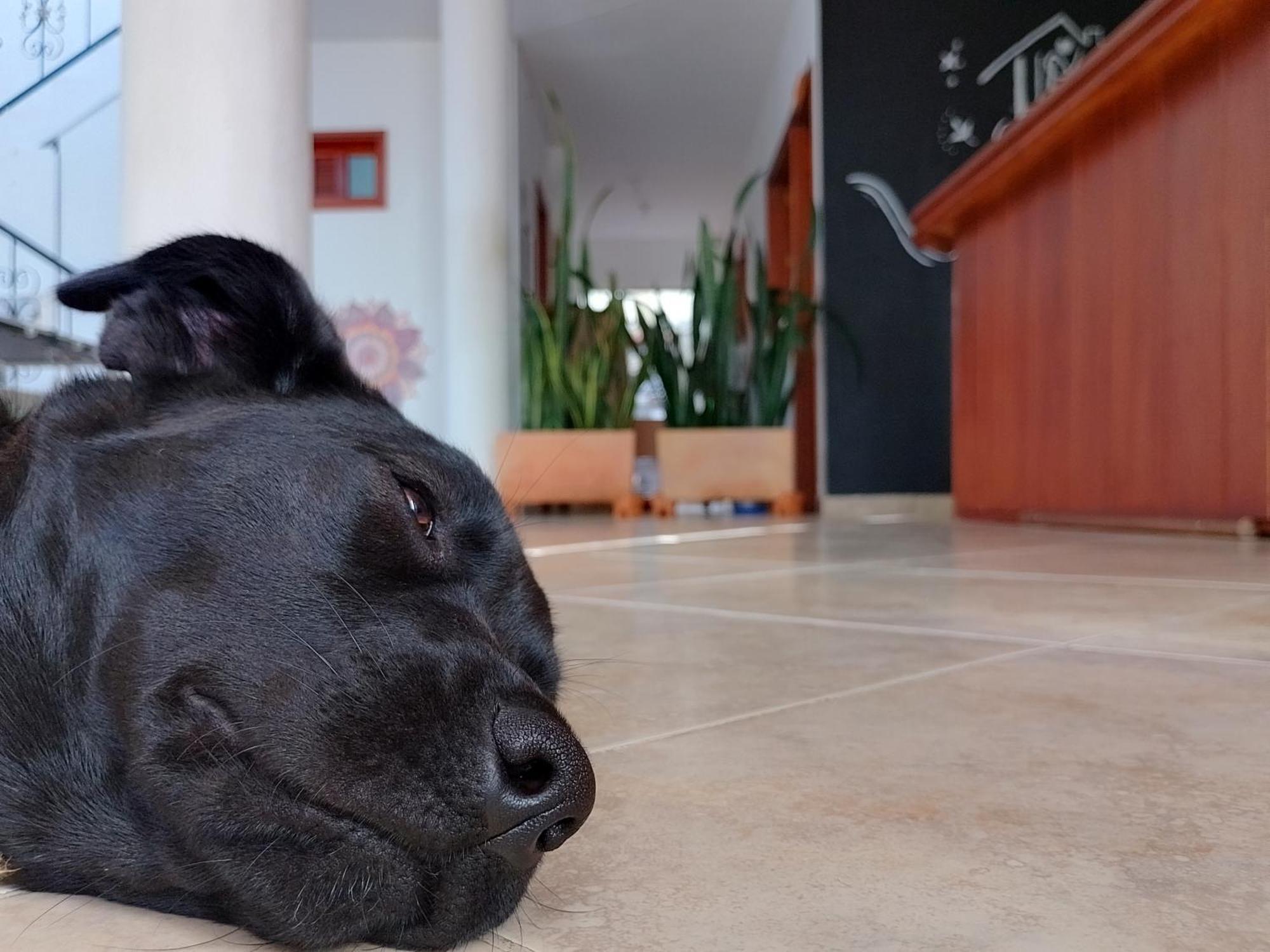 Hola! Veci Hotel Villa de Leyva Ngoại thất bức ảnh